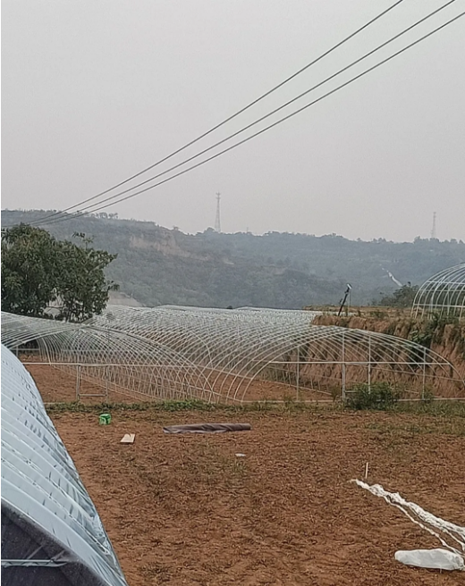 大棚建設現(xiàn)場